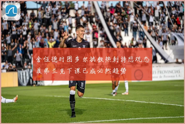 舍伍德对图多尔执教热刺持悲观态度弗兰克下课已成必然趋势