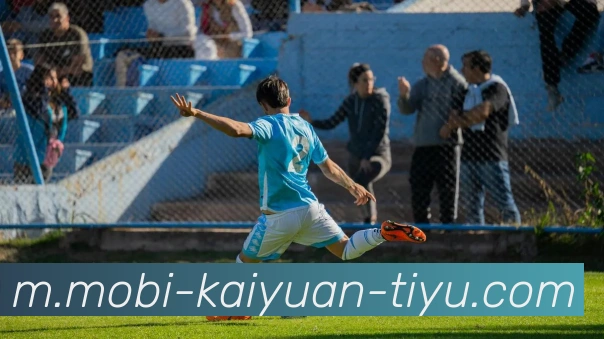 开元体育服务体系